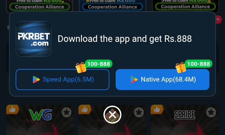 Pkr Bat Game