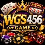 WGS 456 Game